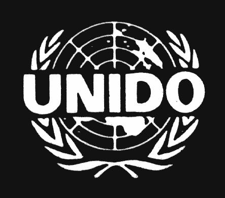 United Nations Industrial Development Organization The