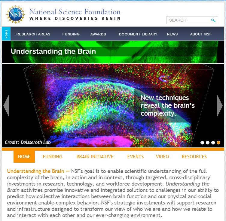 Understanding the Brain nsf.