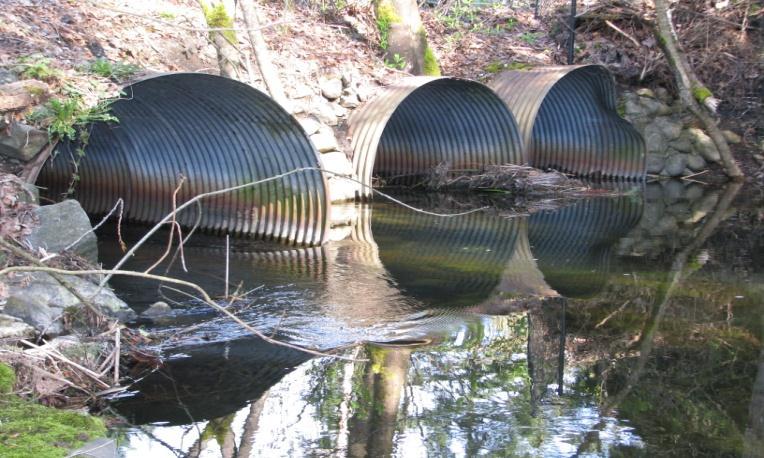 The existing three culverts may impede the upstream migration of salmon. The existing corregated metal culverts are showing signs of corrosion.