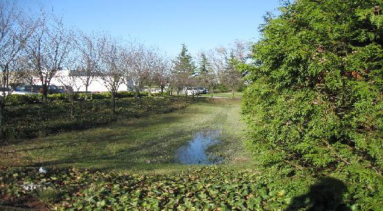 Project for the Stormwater Department # D2 Capital Improvement Plan 2013-2018 Ginder Creek Stormwater Treatment Pond Construct a wetpond and bioswale combined treatment facility to provide maximum