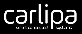 Name of the company: CARLIPA Activities: Retail Digital expert (luxury, optics, banks, ect.