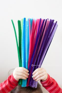 19 Division 1567: Pipe Cleaner Craft (Chenille Stem) Special Competition Entry Fee: $2.00 2 per Class Online Registration Deadline: April 25 th Delivery Information: Friday, May 18 th 3-8 p.m. or Saturday, May 19 th 9-3 p.