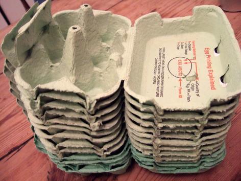 9 Division 1565: Youth Egg Carton Craft Special Competition Entry Fee: $2.00 2 per Class Online Registration Deadline: April 25 th Delivery Information: Friday, May 18 th 3-8 p.m. or Saturday, May 19 th 9-3 p.