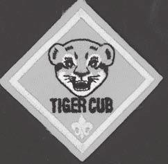 Tiger Cub Requirements When a boy is in the first grade, he works on the Tiger Cub badge with his adult partner.