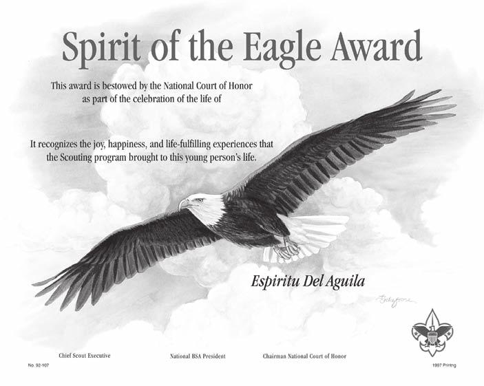 Spirit of the Eagle Award The Boy Scouts of America has created the Spirit of the Eagle Award as an honorary posthumous special recognition for a registered youth member who has lost his or her life