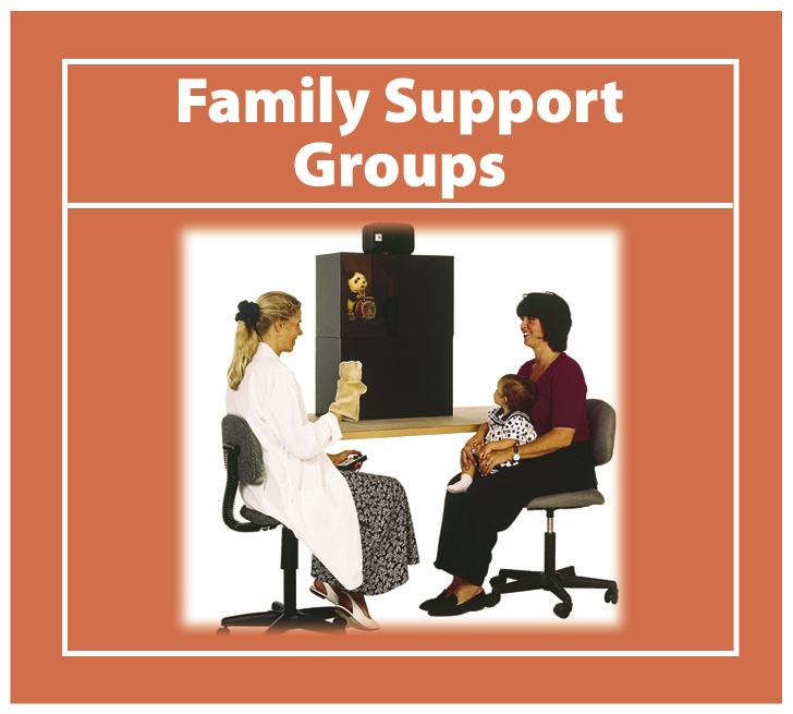 from the Part C program and/or if there is an MOA between the Part C program and the family support group designating the group as a participating provider.
