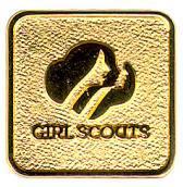FOCUS OF SERVICE: 1 OR MORE SERVICE UNITS APPRECIATION PIN Description The Appreciation Pin recognizes an individual s exemplary service in support of delivering the Girl Scout Leadership Experience,