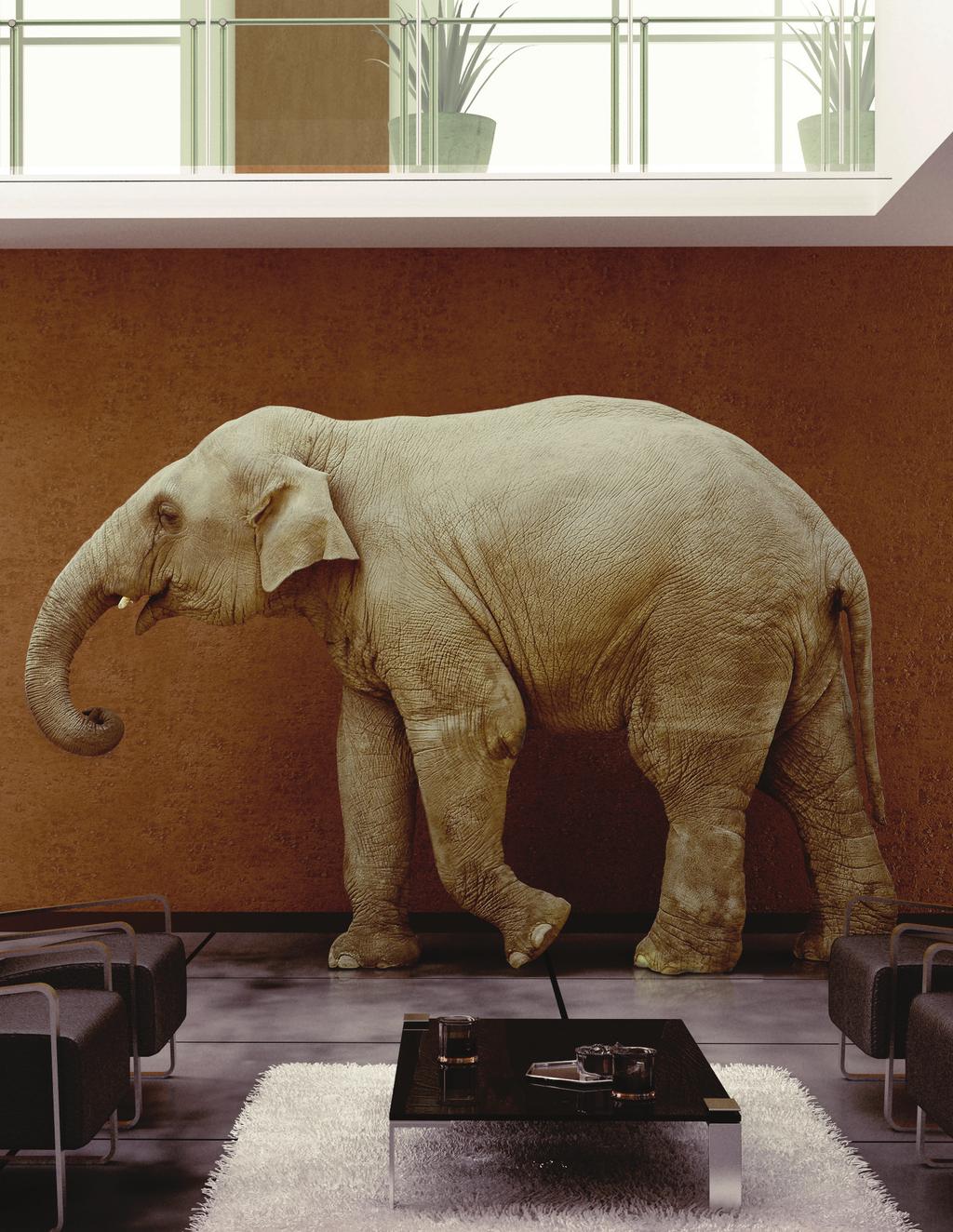 THE ELEPHANT IN THE NONPROFIT BOARDROOM How to Bring