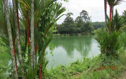 4 Taman Rasah Jaya, Seremban - Loji Kumbahan Terbiar (14.11.2016) LRA Sungai Linggi - Sampah yang Dihanyutkan ke LRA (14.11.2016) b.