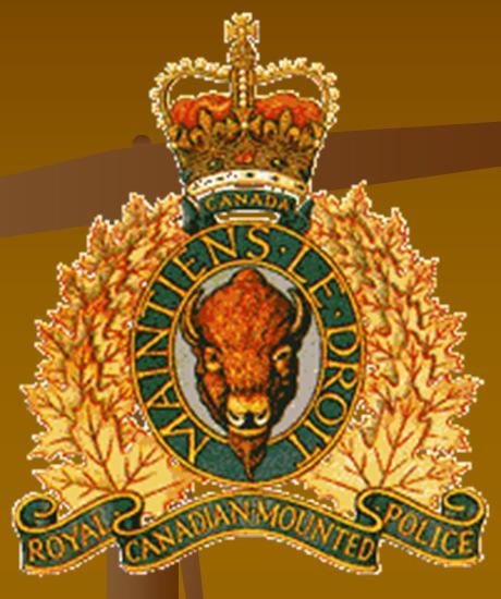 Police / RCMP Regular Officer response Domestic Violence Unit Social Worker Community Liaison Victim