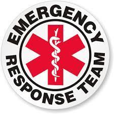 EMERGENCY RESPONSE Immediate Response BLS or ALS-1 Level 911 Call