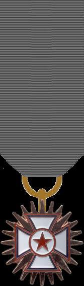 Texas Division Bronze Cross for Meritorious Service Purpose: The Texas Division Bronze Cross for Meritorious Service is awarded to Texas Division SCV members for OUTSTANDING AND EXEMPLARY patriotic