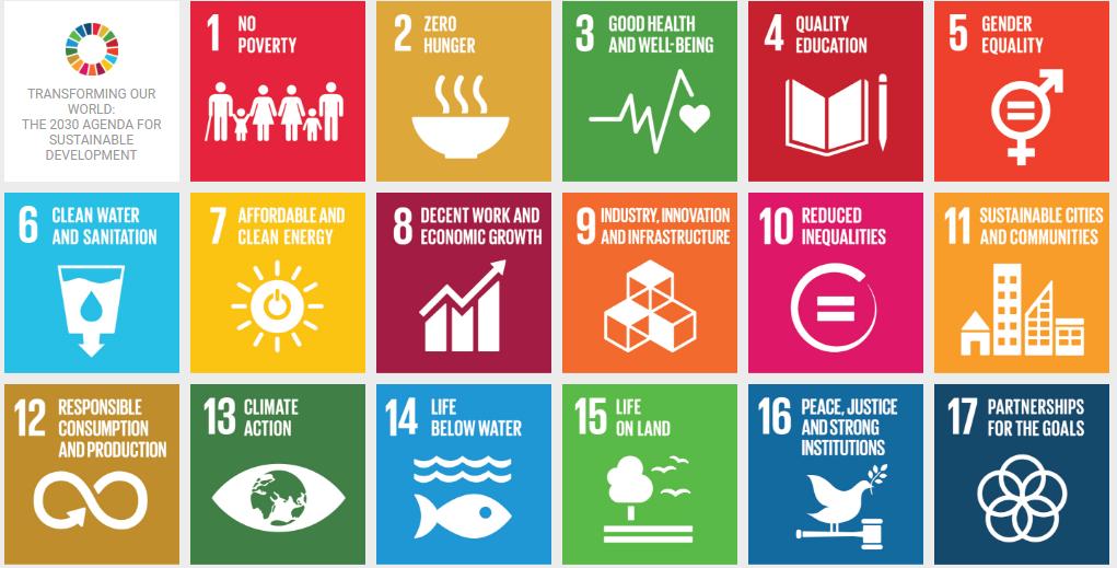 Implementation of New Innovation Approaches for Sustainable Development Goals; The Case of Iran Science, Technology, and Innovation (STI) is essential to achieve 17 Sustainable development goals