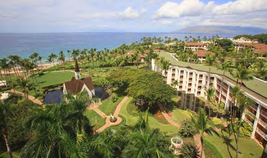 Wailea, Maui, Hawaii February 12 17, 2017 Grand Wailea Grand Wailea has undergone a Grand Refresh to its guestrooms, pools, and mee ng areas resul ng in a brighter,