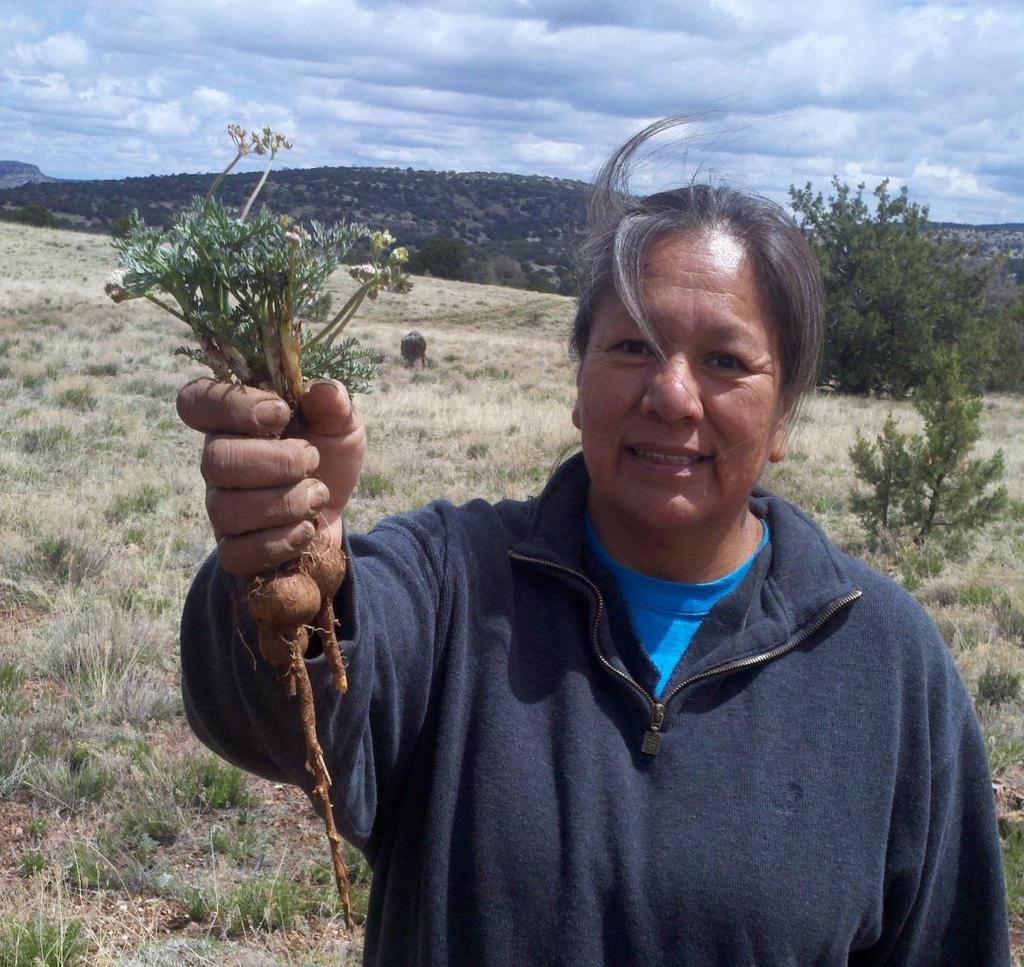 Program Summary Good Health and Wellness in Indian Country is a 5-year program funded at $16 million in 2015.