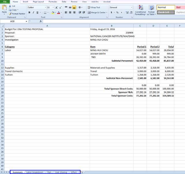 The full budget spreadsheet contains the following sub-tabs: Summary of the budget with direct and indirect costs Labor costs breakdown including the fringe