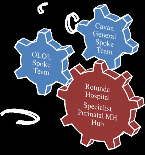 Proposed National Model of Care Figure 3 depicts the hub and spoke model in one hospital group, also shown geographically in Figure