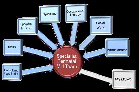 Requirements to deliver teh the service Staffing of a Specialist Perinatal Mental Health Team The Specialist Perinatal Mental Health Team is the unit of service delivery for the three components of