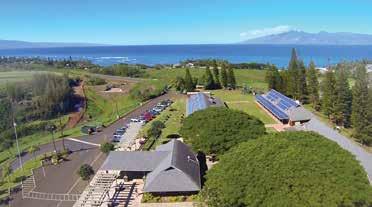 5 acres Maui Prep s campus is nestled among former pineapple fields and majestic Norfolk pines approximately 10 miles north of Lahaina on the island of Maui Airport: Maui Kahului (OGG) Warm and sunny