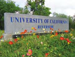 Campus Diversity As the most diverse campus in the UC system, UC Riverside provides a learning environment in which talented students from a variety of backgrounds are challenged to succeed at the