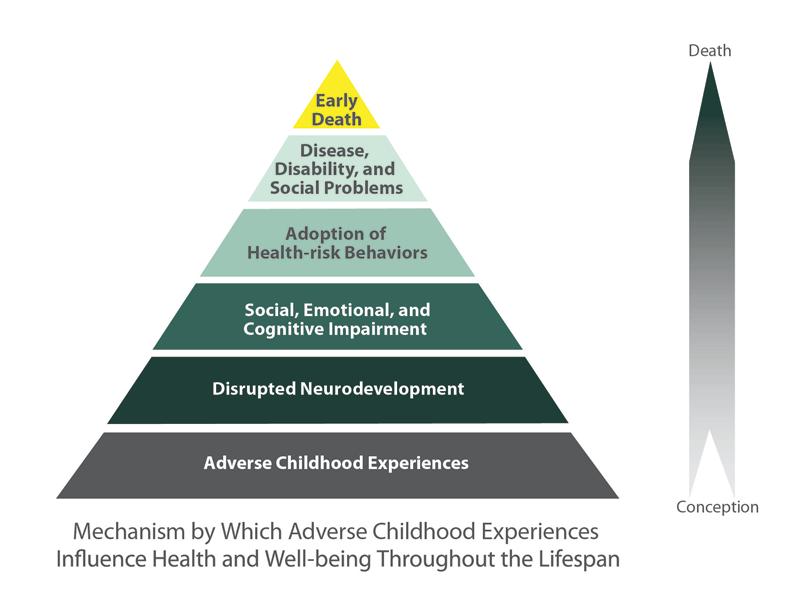 Adverse Childhood Events Study https://www.cdc.gov/violenceprevention/acestudy/index.