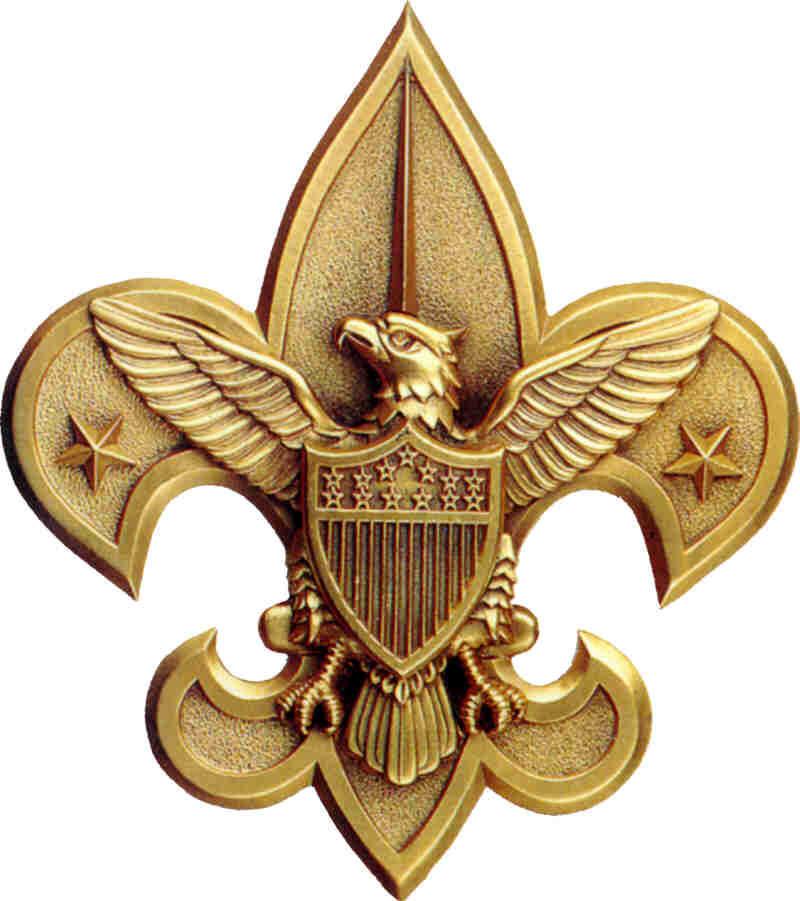 Boy Scouts of America Troop 780 Dunn, NC http://www.bsatroop780.