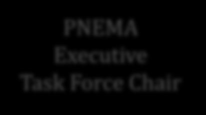PNEMA Governance