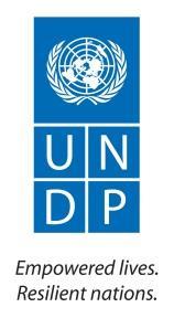 UNDP Youth Entrepreneurship Portal Final