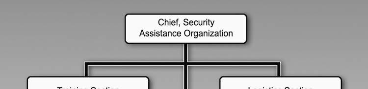 It oversees all foreign-based DOD elements with SA responsibilities. The SAO assists HN security forces by planning and administering military aspects of the SA program.