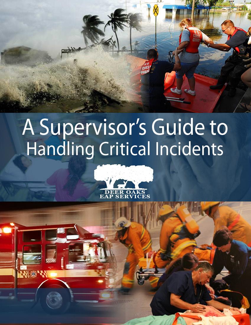Note: This is a guide, not a policy. This document should be used as a guide for supervisors to use all the tools at their disposal.