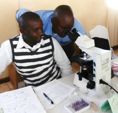 PY2, the project focused on strengthening and consolidating the malaria case management QA system through OTSS and several new key initiatives: training additional clinical supervisors, continuing