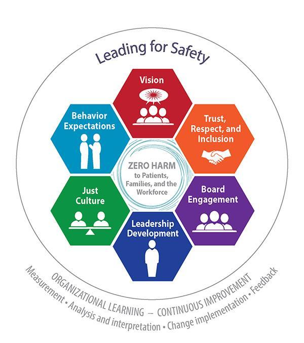 The Six Domains Establish a compelling vision for safety Establish organizational behavior expectations Value trust, respect, and