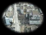 provide further information on the impact of the nuclear accident at the Fukushima Daiichi nuclear power station as well as on the efforts of the