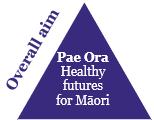 How the Strategy relates to other national, regional and district strategies and plans New Zealand Health Strategy (NZHS) He Korowai Oranga South Island Regional Health Services Plan Southern