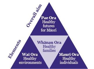 Pae Ora guided thinking on how the Strategy needs to address the needs of Māori in Southern.