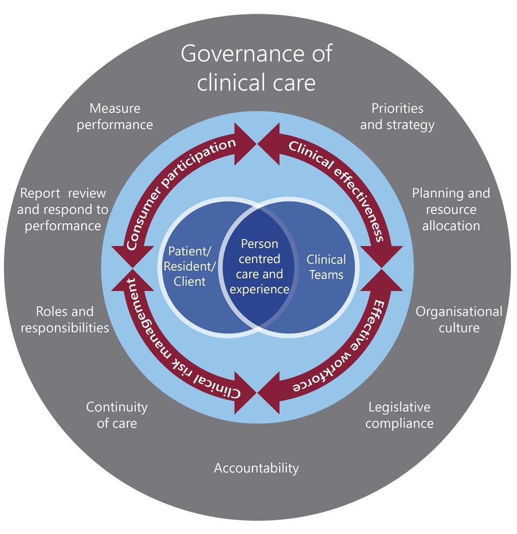 Clinical Governance Framework - Performance and Accountability Figure 1: Components of the Clinical