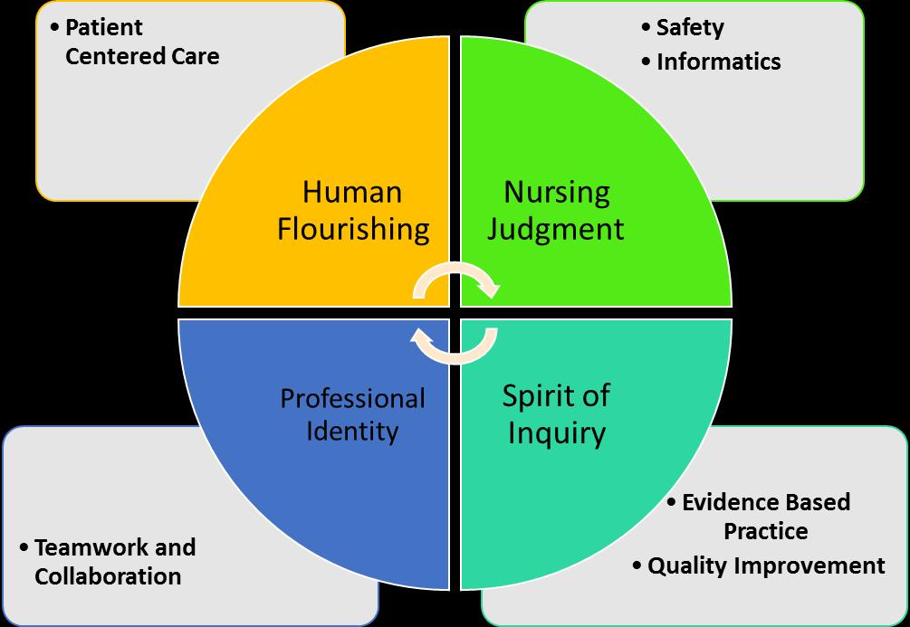 Conceptual Framework The conceptual framework derived from the philosophy forms a basis for the organization and structure of the nursing curriculum.