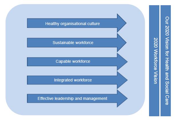 Creating a healthy organisational culture developing and sustaining a healthy organisational culture to create the conditions for high quality health and social care; Establishing a sustainable