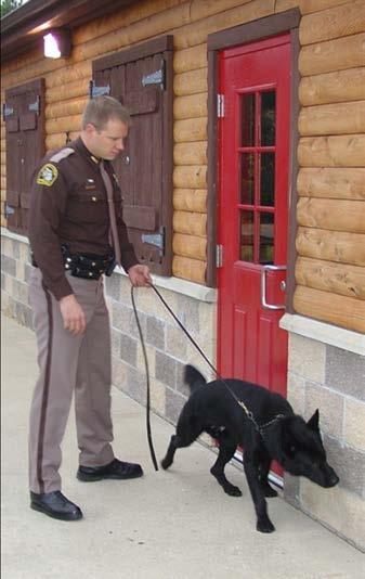 Our cnine hndlers nd their police service dogs hve ll undergone extensive trining. The tems mintin proficiency certifiction.