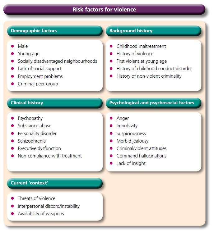 Appendix 1- Actuarial Factors The following risk factors for violence and