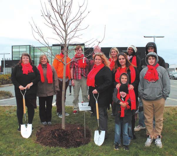 One such event was organized by the CHS Nova Scotia Chapter. A tree was planted at the Canadian Blood Services (CBS) Building in Dartmouth.