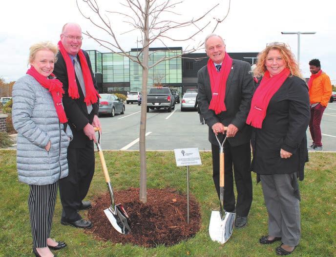 A memory of those we have lost, a tree of hope for those still suffering and impacted, a tree that will grow stronger every year, to represent a strong and vigilant blood system moving forward.