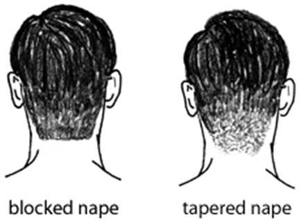 Blocked nape versus tapered nape (or, blocked neck edge versus tapered neck edge).