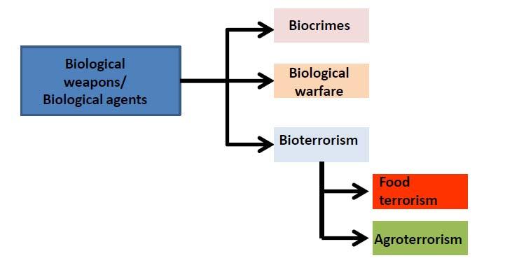 Historic Perspective Agroterrorism Other bioterrorism Food terrorism Agroterrorism Keremidis, H., Appel, B., Menrath, A., Tomuzia, K.
