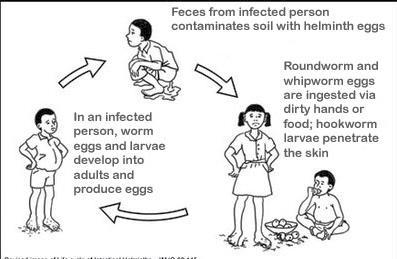 How is Soil Transmitted Helminthiasis (STH) treated and where?