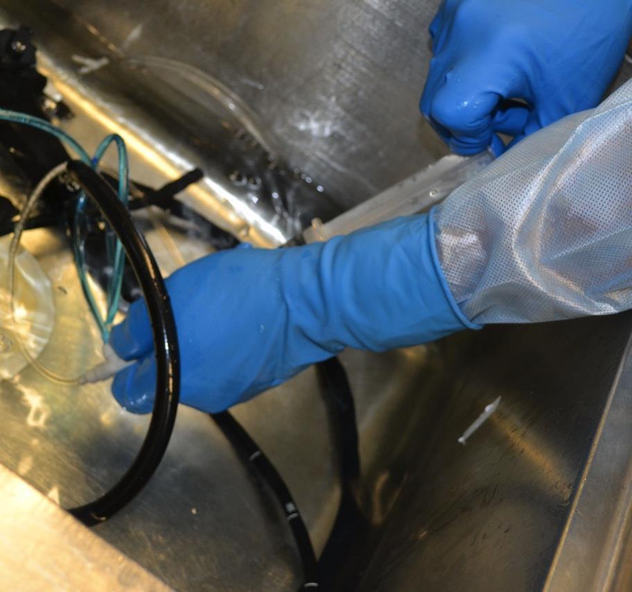 2016 AORN Guideline for Processing Flexible Endoscopes Ensure cleaning and processing is conducted by individuals who have received education and completed competency verification activities