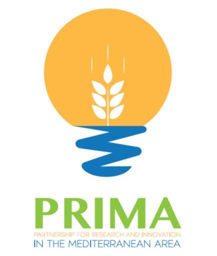 Annual Work Plan 2018 for the Partnership for Research and Innovation in the Mediterranean Area (PRIMA) Responsible person: Dr Octavi Quintana Trias, PRIMA Foundation Executive Director This