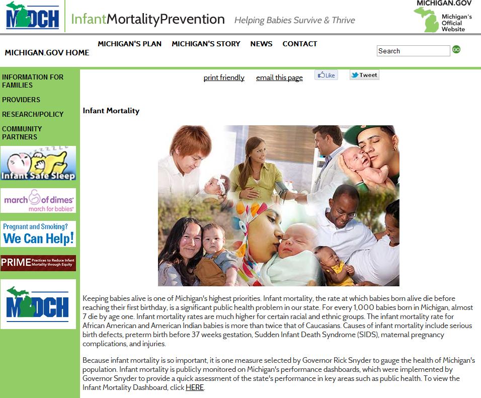 Michigan Infant Mortality Website