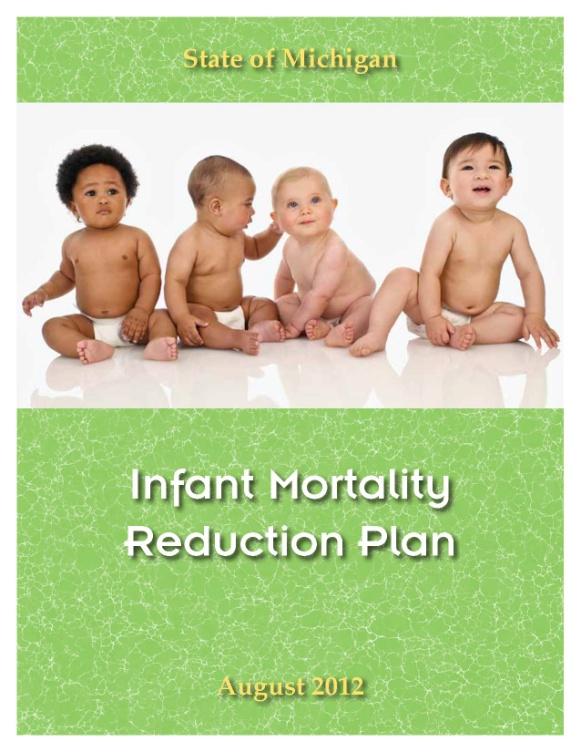 Michigan Stakeholders contributed Infant Mortality Reduction