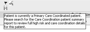 Screenshot of High Risk Flag 34 Care Coordination Snapshot in Epic 35